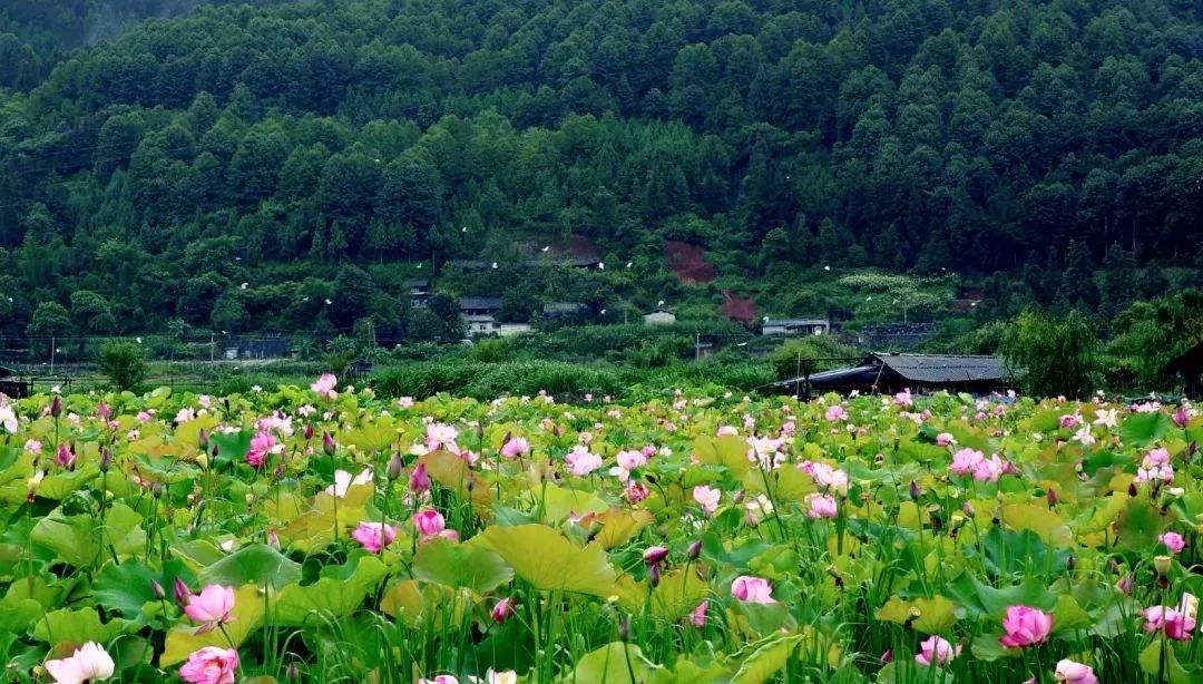 暑假口才夏令營讓孩子流利的表達出自己的理想