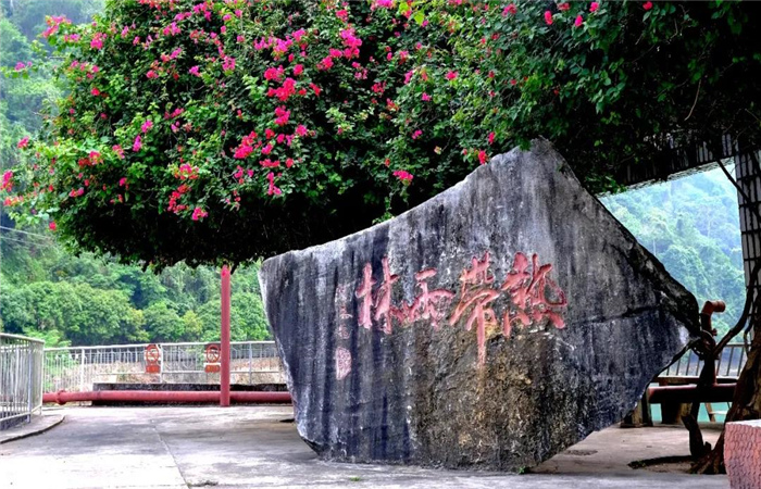 個(gè)舊蔓耗綠水河 云南旅游的另一個(gè)熱帶雨林