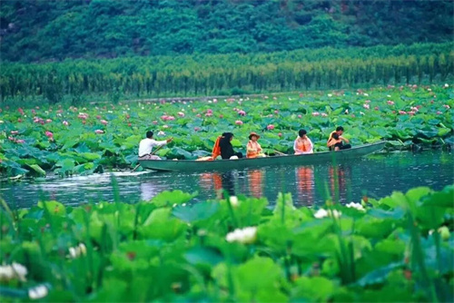 2022普者黑夏令營：山水田園，萬畝荷花游學，探訪彝族古村，感知民族文化！