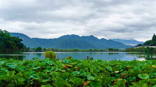 參加夏令營有哪些好處 夏令營對孩子的成長有哪些幫助